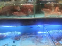 -阿伟海鲜楼·福建菜(延寿店)