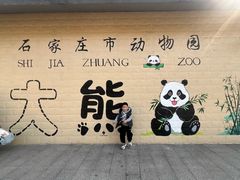 -石家庄极地海洋世界