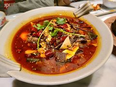 -辛香汇·现炒川菜(淮海路百盛店)