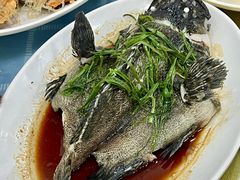 -明记海鲜大排档(巽寮湾店)