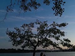 -东湖落雁景区