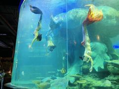 -龙谷湾旅游休闲度假区