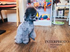 -日昌餐馆(亦庄店)