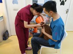 -芭比堂动物医院·犬猫全科·异宠专科(雁塔分院)