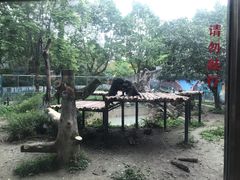 -成都动物园