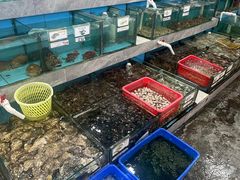 -考记泥焗鸡农庄·海鲜(北洛秘境店)