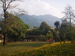 -广州市流溪河国家森林公园