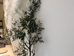 -伊斯坦布尔土耳其清真咖啡餐厅