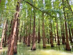 -星湖旅游景区七星岩