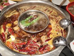 -一斗火锅·招财羊毛肚(北温泉九号店)