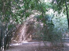 android_upload_pic-西苑公园