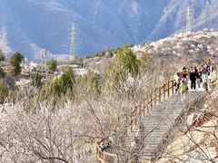 -白水寺森林公园