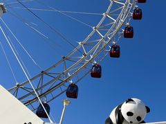 -天津之眼摩天轮