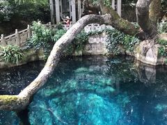 -蝴蝶泉公园