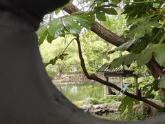 -无锡蠡湖国家湿地公园-蠡园
