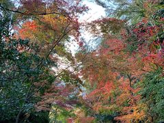 -% Arabica(京都东山店)