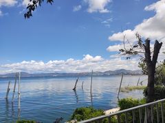 -洱海月湿地公园