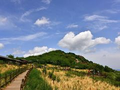 -野三坡百草畔景区