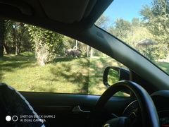 -北京野生动物园