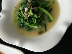 -云中小雅