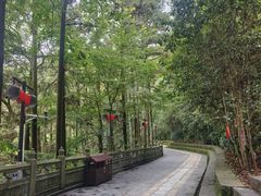 -安溪清水岩