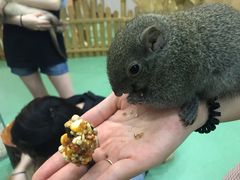 -藦茜花园宠物主题亲子互动体验馆(国顺东路店)