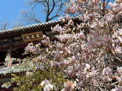 -潭柘寺景区