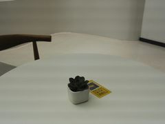 -艾薯夫妇Aysh(福田星河COCOPark店)