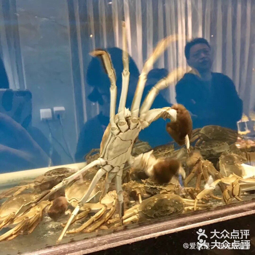 温州海鲜大排档代表[得意]正宗的温州味道