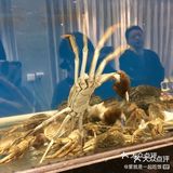 温州海鲜大排档代表[得意]正宗的温州味道