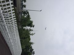 iphone_upload_pic-南翔镇银翔湖公园
