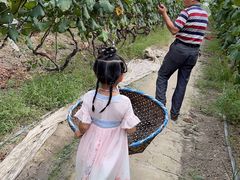 -马陆小张葡萄园农家乐