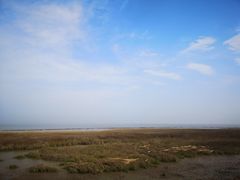 -南汇嘴观海公园