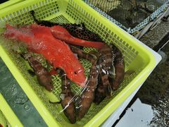 -老字号蛇口德记烧腊饭店·海鲜加工