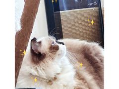 -seeu coffee(江滩店)