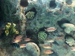 -苏州海洋馆
