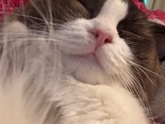 -蛙蛙叫·干锅年代(钻石广场店)