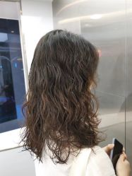 -Y-STUDIO原理