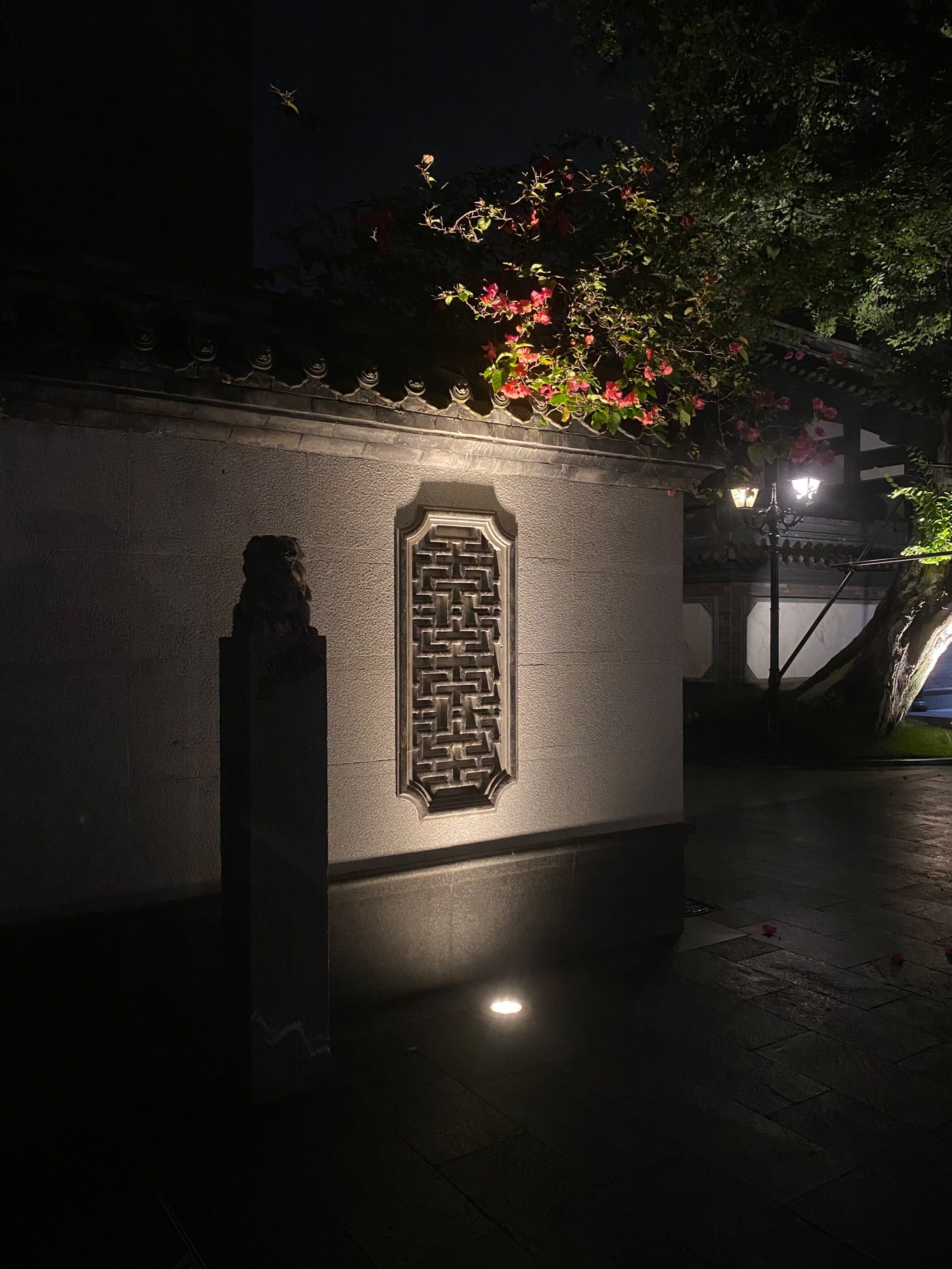 夜幕下的小庭院散步记