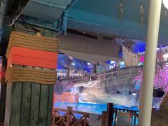 -海合安青岛极地海洋公园
