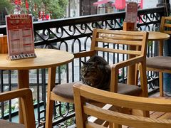 -猫的天空之城概念书店(杭州南宋御街店)