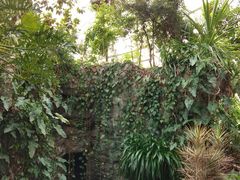 -北京植物园-展览温室