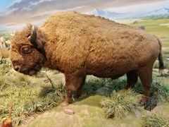 -陕西自然博物馆