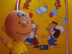 -九木杂物社(中心店)