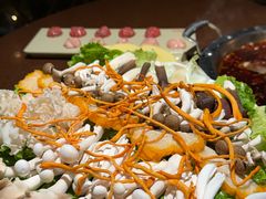 -巴倒烫陆派火锅山庄(南山总店)