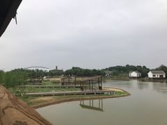 -金卉庄园