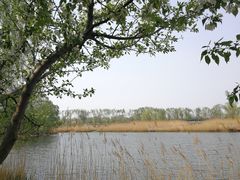 -大兴滨河森林公园