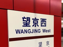 -望京西(地铁站)