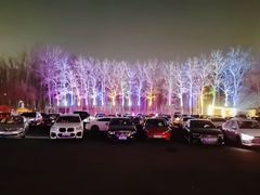 -枫花园汽车电影院(朝阳公园店)
