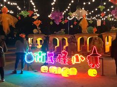 -南湖梦幻岛